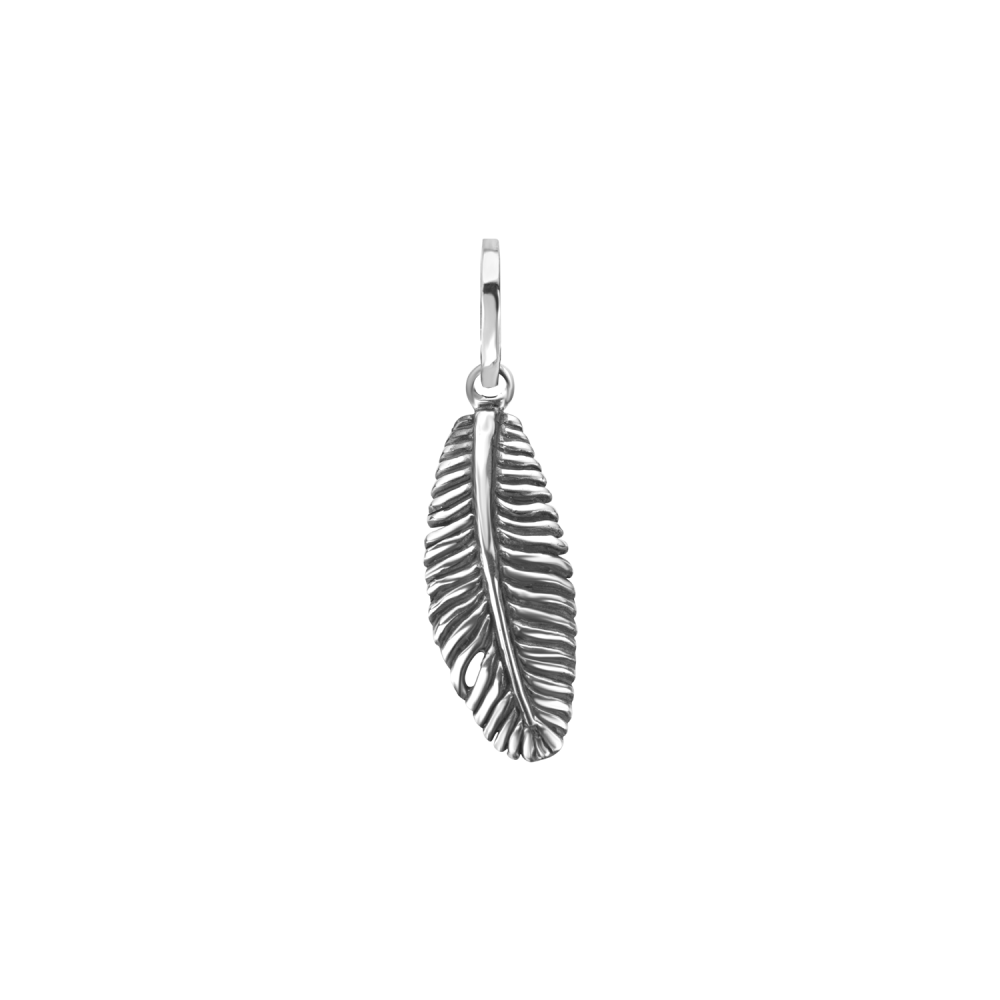 Pendants - Pendant 
Feather